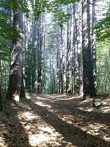 L'Aspromonte e la costa Calabria